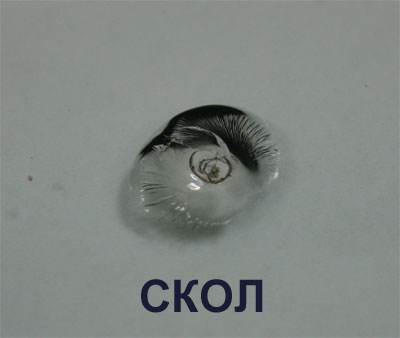 Sskol(2).jpg